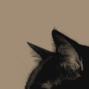 Zdjęcia dla 'Unstable'