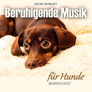 Image for 'Beruhigende Musik für Hunde'