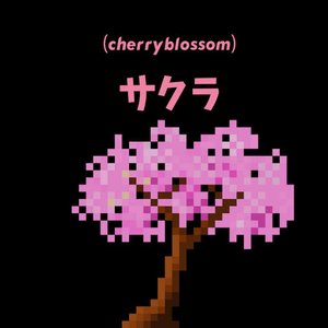 “Cherry Blossom”的封面