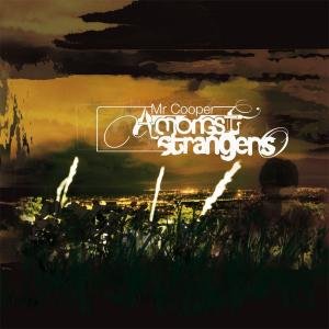 “Amongst Strangers (Vinyl Version)”的封面