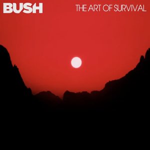 “The Art Of Survival”的封面