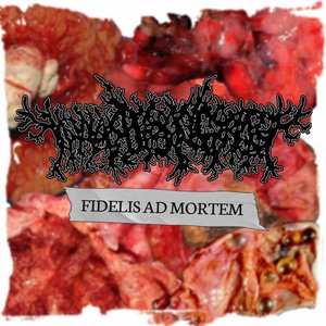 Imagem de 'Fidelis Ad Mortem'