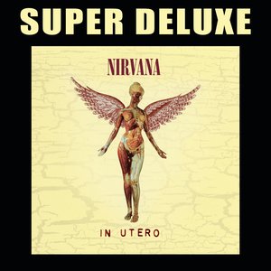 “In Utero (20th Anniversary Super Deluxe)”的封面