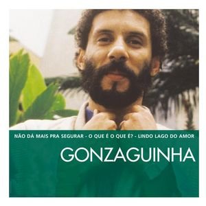 Image for 'The Essential Gonzaguinha'