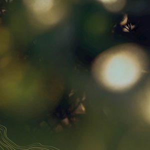 “Whispers Along the Waterfront”的封面