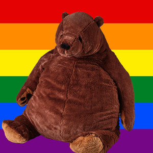 bearycool