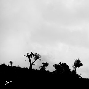 Image for 'Inure'