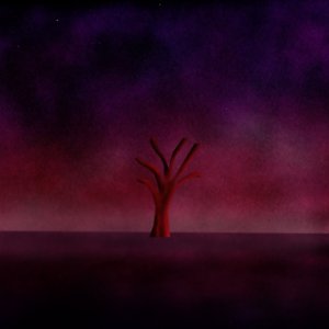 Image for 'If Only It Was Warmth'