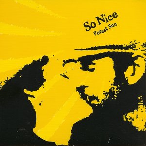 Image for 'So Nice'