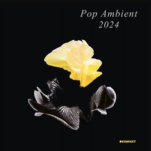 Image for 'Pop Ambient 2024'