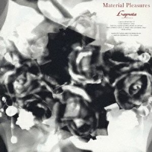 Image for 'Material Pleasures'