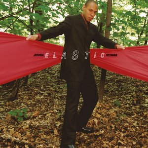 Image for 'Elastic'