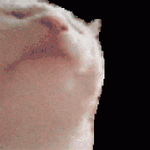 rbennettr