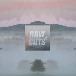 Image for 'Chillhop Raw Cuts 2'