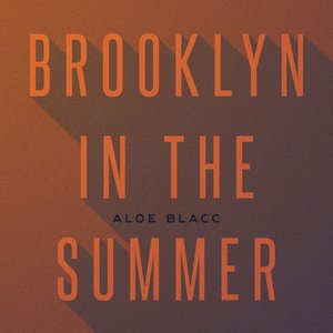 Immagine per 'Brooklyn In The Summer'