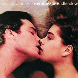 Bild für 'Endless Love (soundtrack)'