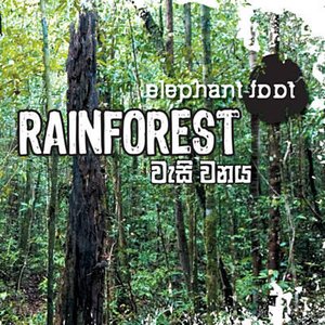 Bild für 'Rain Forest'