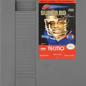 Bild für 'Super Tecmo Bo'