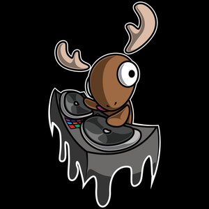 Image for 'Flanger Moose'