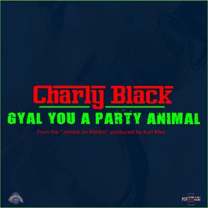 Image pour 'Gyal You A Party Animal'