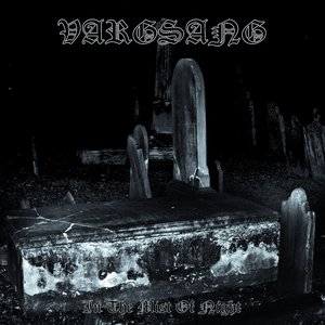Image for 'In The Mist Of Night'