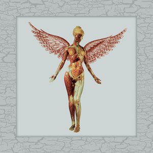 “In Utero (30th Anniversary Super Deluxe)”的封面