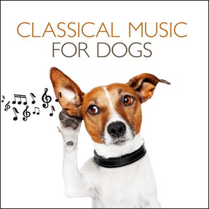 Image for 'Classical Music For Dogs'