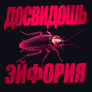 Image for 'Live в Ионотеке'