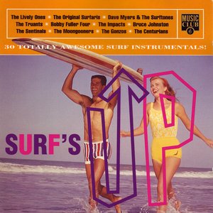 Image for 'Surf'S Up'