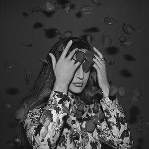 “Sophia Saze”的封面