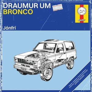 Image for 'Draumur um Bronco'