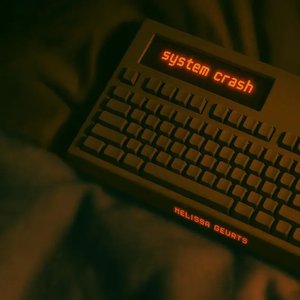 “system crash”的封面