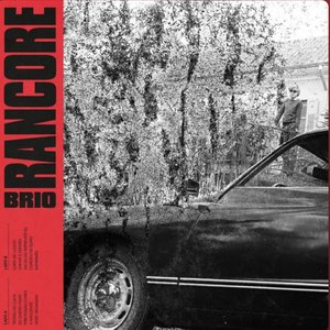 Image for 'Brio'