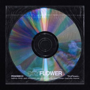 Image for 'Dry Flower'