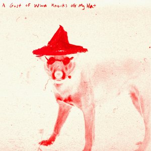 Zdjęcia dla 'A Gust Of Wind Knocks Off My Hat'