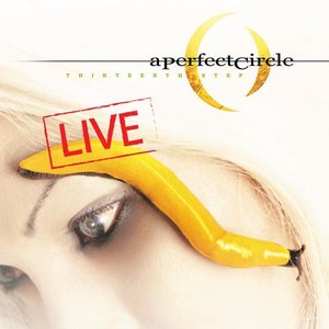 Image pour 'Thirteenth Step - Live'