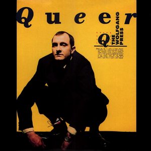“Queer”的封面