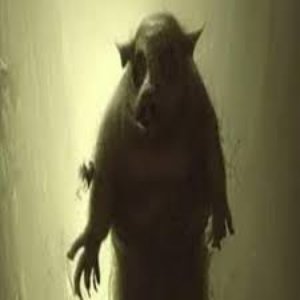 Image for 'The Cave of Pigs'