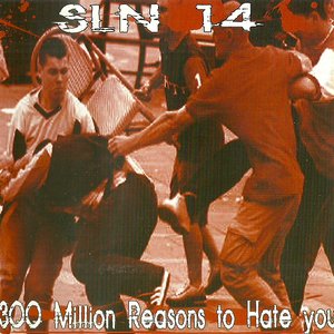 Image for '300 Million Reasons to Hate you'