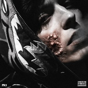 Image for 'FREERIO 3'