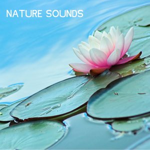 “Nature Sounds - Nature Music for Sleep, Yoga and Relaxation”的封面