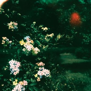 Zdjęcia dla 'fields of forever'