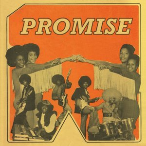 “Promise”的封面
