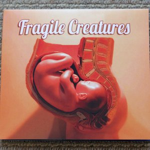 Image for 'Fragile Creatures'
