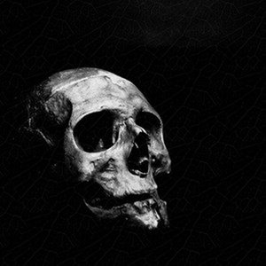 Image for 'HARDSTYLE CVNT'