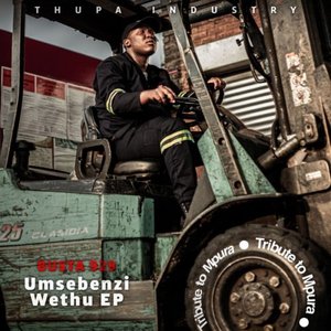 Imagen de 'Umsebenzi Wethu, Vol. 2'