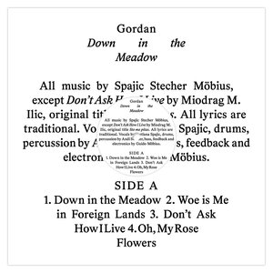 “Down in the Meadow”的封面