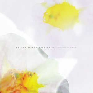 Image for 'Potato Flower'