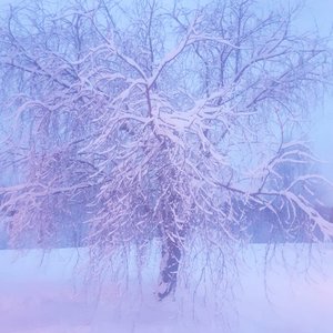Image for 'Himlens blad'