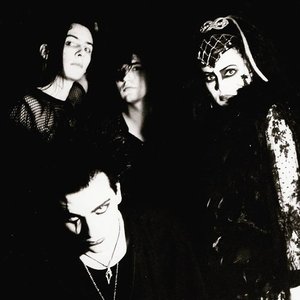 “Corpus Delicti”的封面